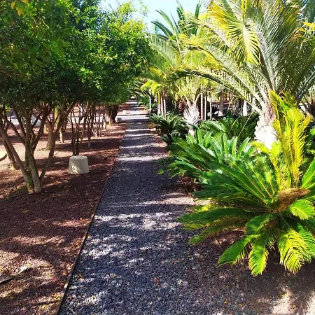 2 Bedroom Bright Tenerife קוסטה דל סילנסיו